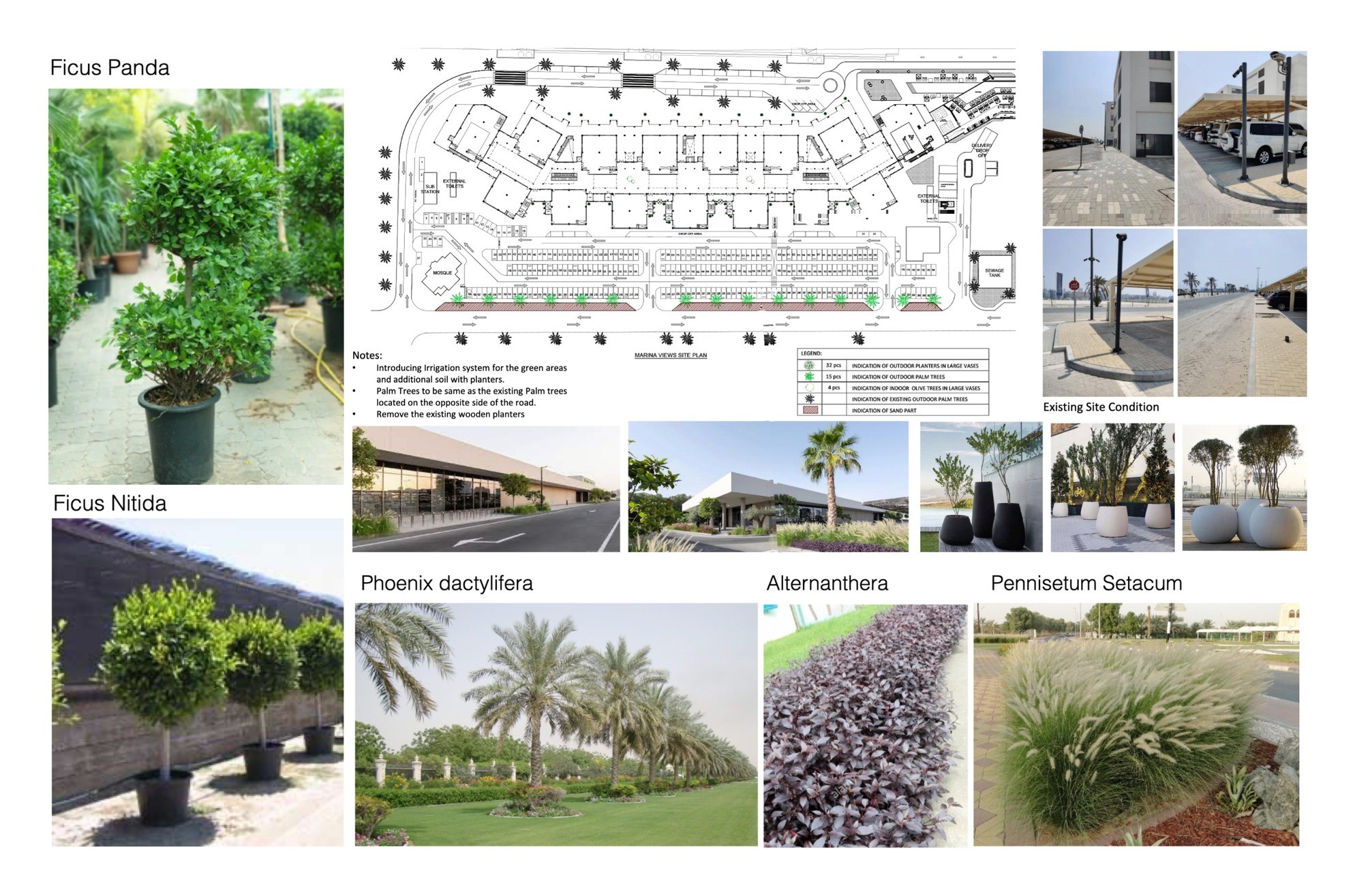 Slide 11